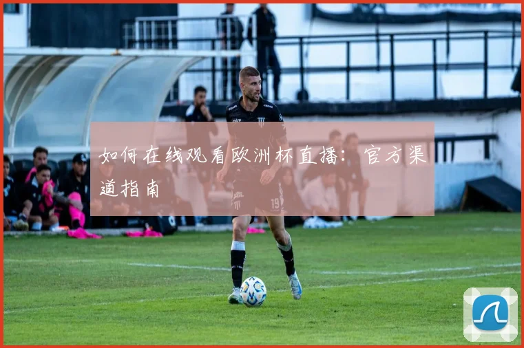 如何在线观看欧洲杯直播：官方渠道指南