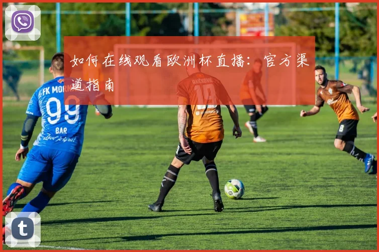 如何在线观看欧洲杯直播：官方渠道指南