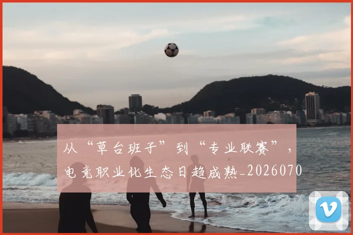 从“草台班子”到“专业联赛”,电竞职业化生态日趋成熟_20260703213950